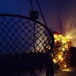 Flóra A Balatonnál Lovas