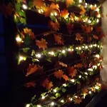 Flora Vendeghaz A Balatonnal Appartement Lovas