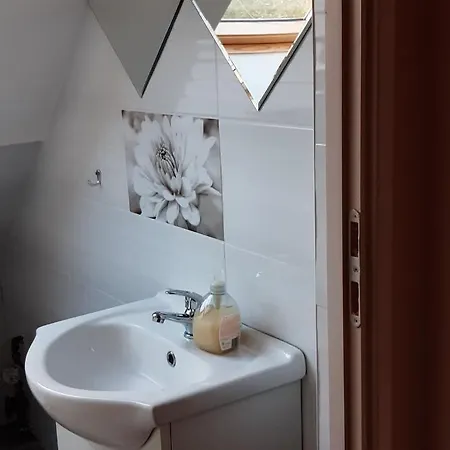 Flóra A Balatonnál *