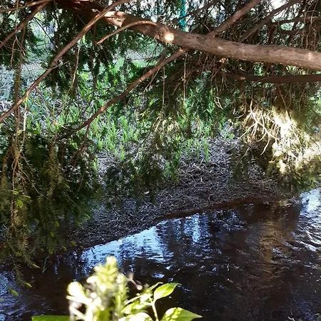 Flóra A Balatonnál * Lovas