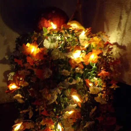 Apartamento Flóra A Balatonnál *