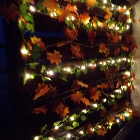 Flóra A Balatonnál Apartamento Lovas