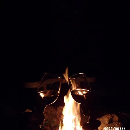 Flóra A Balatonnál Lovas