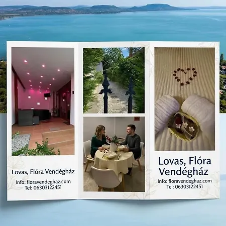 Flóra A Balatonnál Lovas