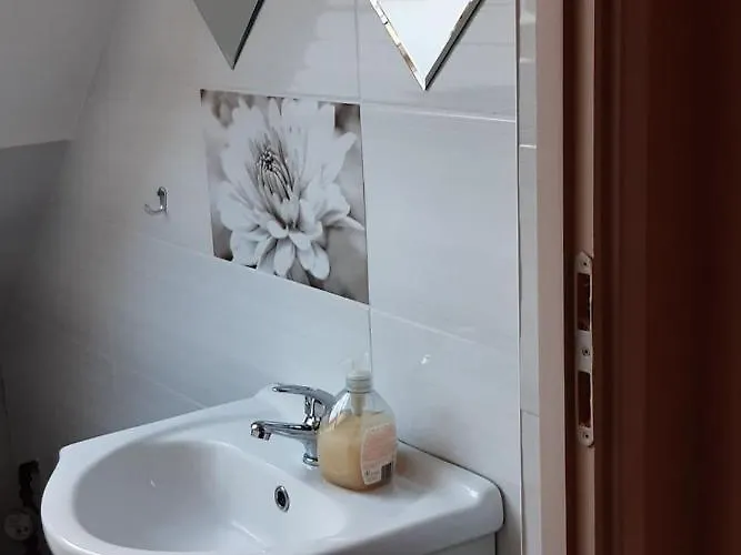 Flora Vendeghaz A Balatonnal *