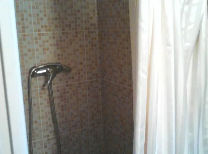 Flora Vendeghaz A Balatonnal