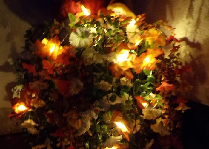 Lägenhet Flora Vendeghaz A Balatonnal *