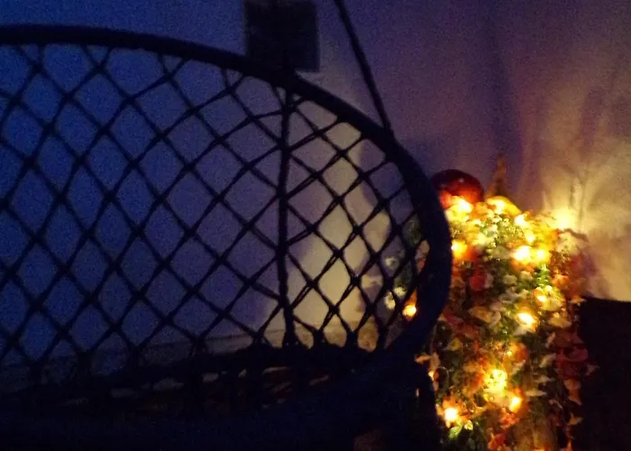 Flora Vendeghaz A Balatonnal Lovas