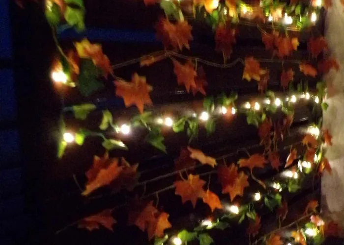 Flora Vendeghaz A Balatonnal Lägenhet Lovas