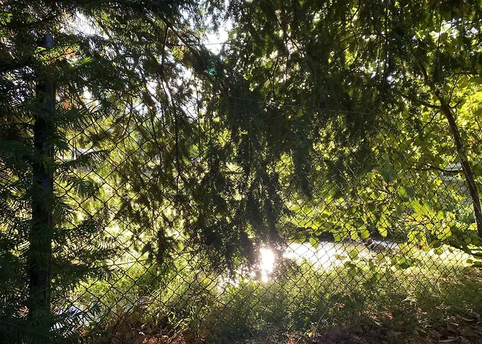 Flora Vendeghaz A Balatonnal Lägenhet *