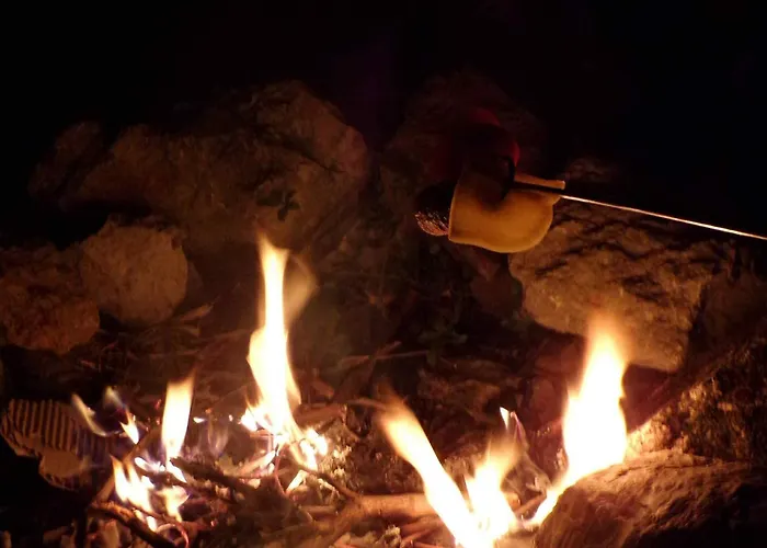 Flora Vendeghaz A Balatonnal